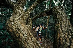 BIB: 
                            <button type="button" onclick="openModal(25393057)" class="btn btn-primary btn-sm float-right btn-popup" data-toggle="modal" data-target=".modal-high-quality">
                        <i class="fas fa-shopping-cart"></i> Add to Cart
                    </button>
                                            <button type="button" onclick="isThisMe(25393057, true)" class="btn btn-success btn-sm float-right btn-popup btn-isme hidden" data-toggle="tooltip" data-placement="bottom" title="นี่คือรูปของคุณใช่ไหม คลิกที่นี่เพื่อเอาเข้าอัลบั้ม">
                        <i class="fas fa-plus"></i> Add to album
                    </button>
                    <button type="button" onclick="isThisMe(25393057, false)" class="btn btn-warning btn-sm float-right btn-popup btn-isnotme hidden">
                        <i class="fas fa-ban"></i> Remove from album
                    </button>